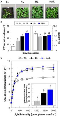 Plant Growth under Natural Light Conditions Provides Highly Flexible Short-Term Acclimation Properties toward High <mark class="highlighted">Light Stress</mark>